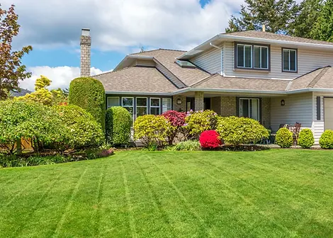 Residential lawn landscaping