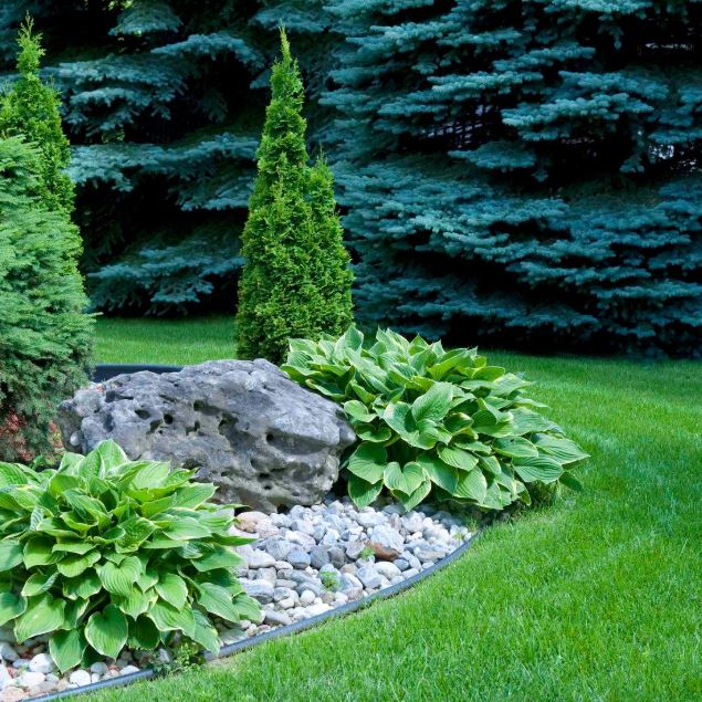 Ornamental garden landscaping
